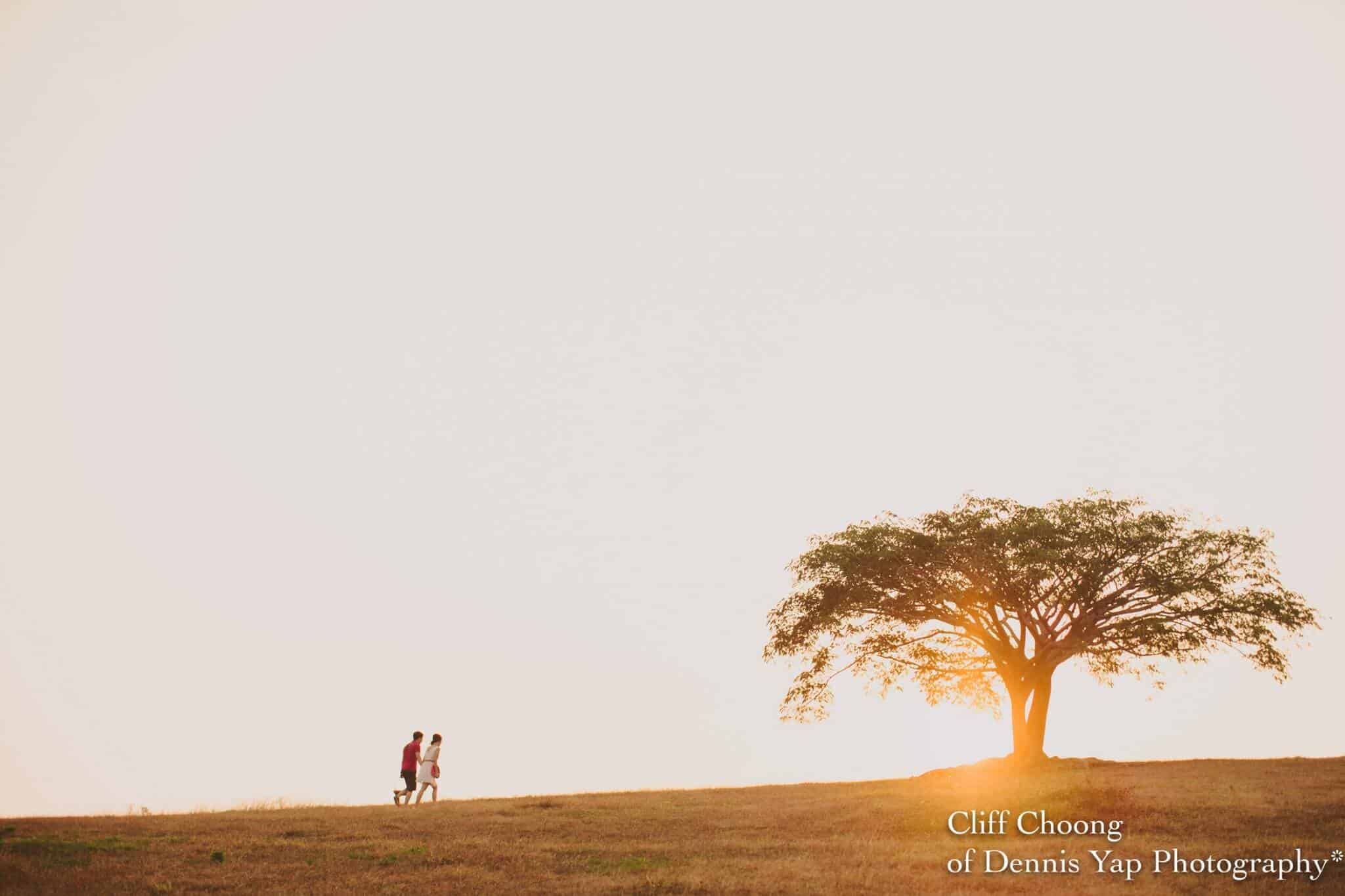 beloved engagement pre-wedding malaysia photographer Cliff Choong of Dennis Yap Photography love UPM Kuala Lumpur on the hill tree