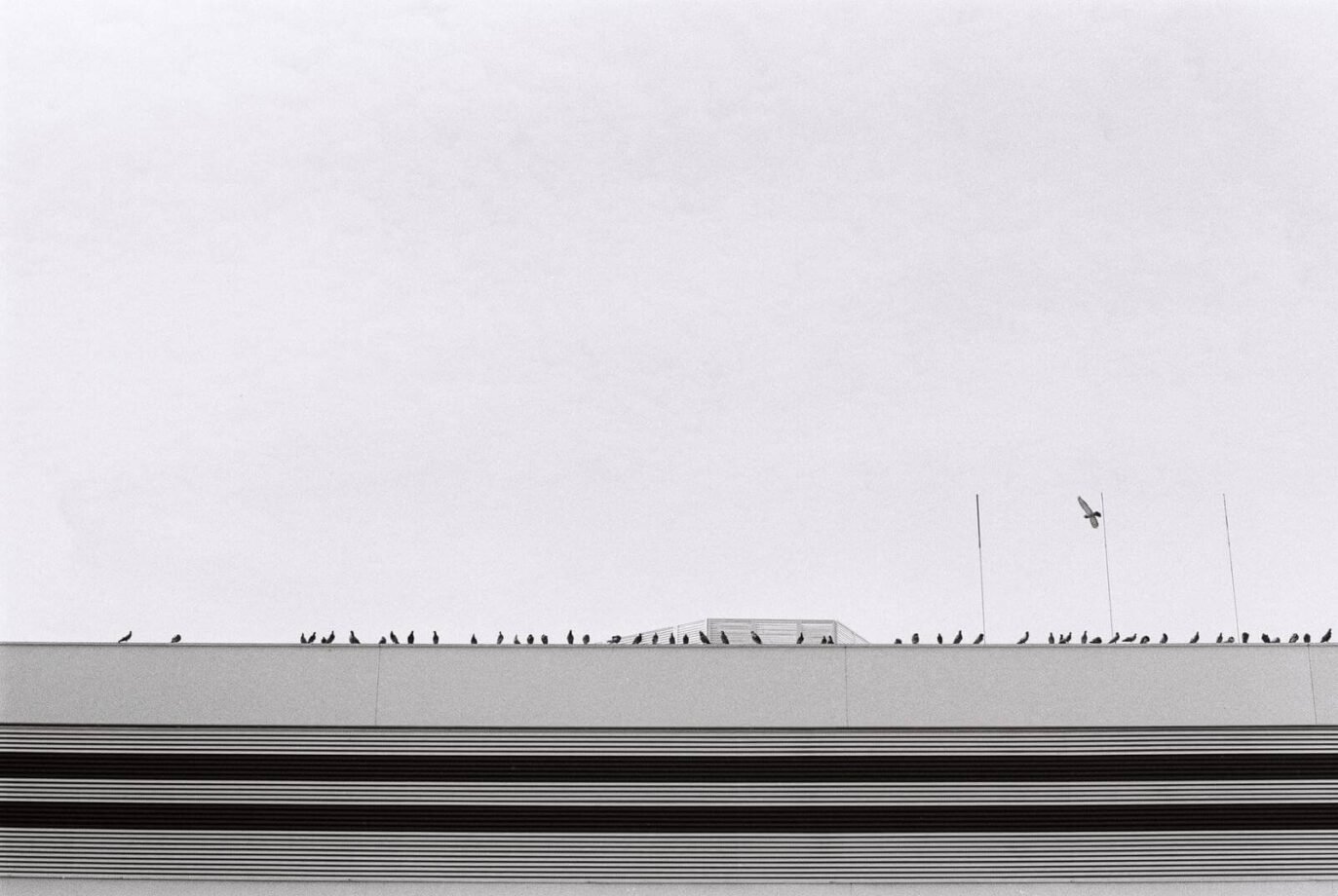 film walk photography photowalk melaka Malaysia Ilford FP4 black and white negative cliff choong