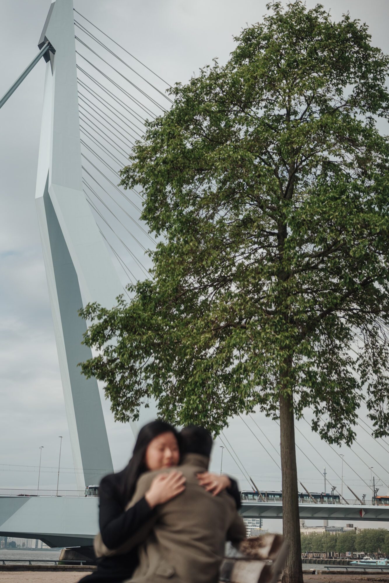Couple sitting together near Rotterdam’s Erasmus Bridge